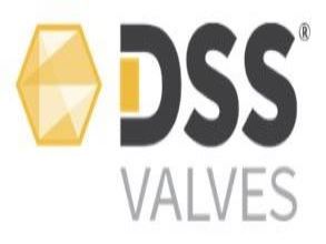 DSS VALVES