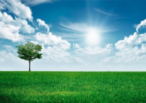 Política de Responsabilidad Social